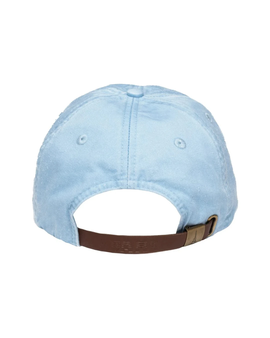 Custom low profile hats in Baby Blue (back view)