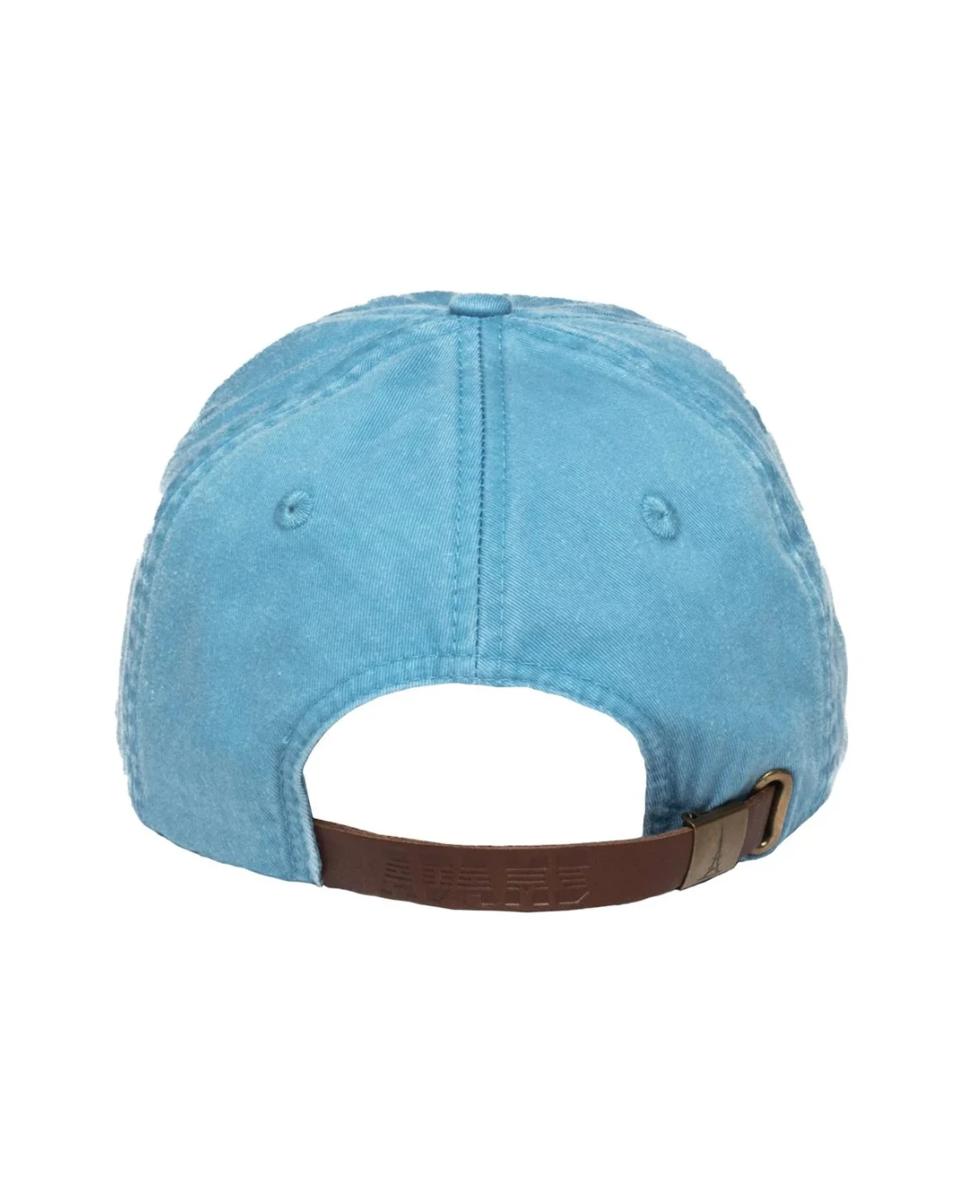 Custom low profile hats in Caribbean Blue (back view)
